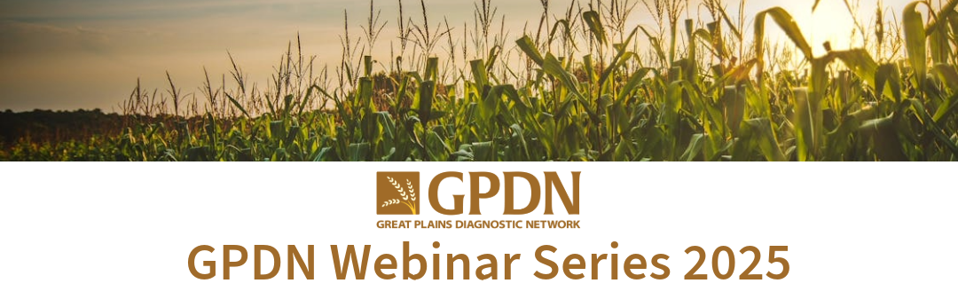 a field of corn against a sunlit sky above the GPDN logo and text stating GPDN Webinar Series 2025