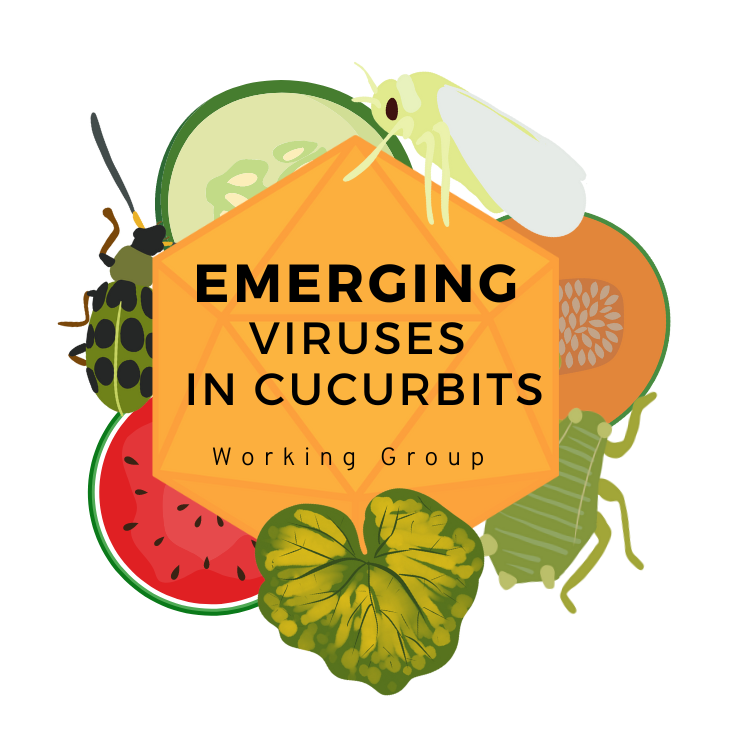Emerging Virus in Cucurbits working group logo