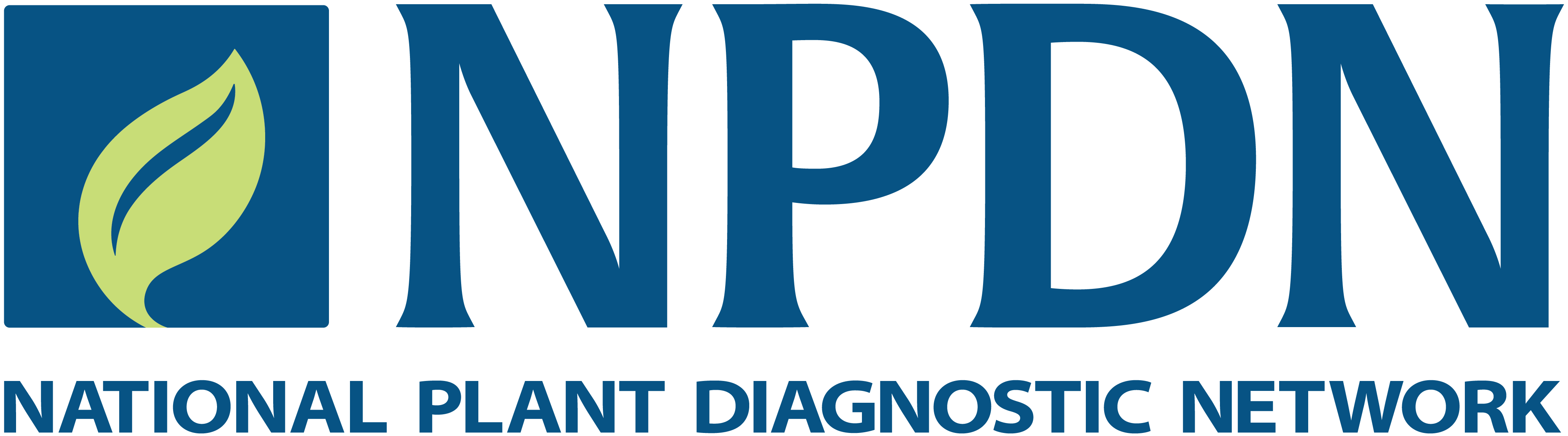NPDN full