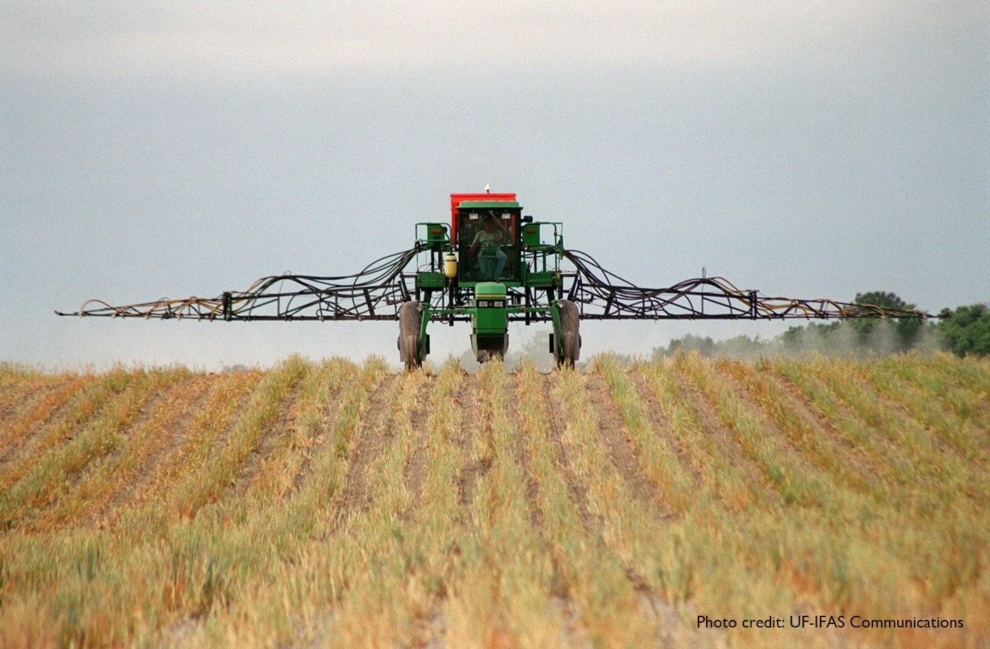 A tractor spraying field crops