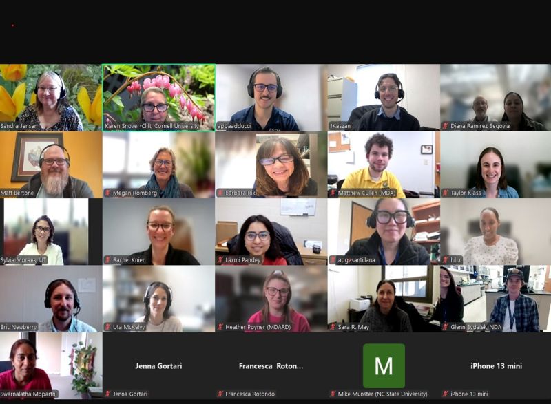 A screenshot of the various participants in a zoom meeting.