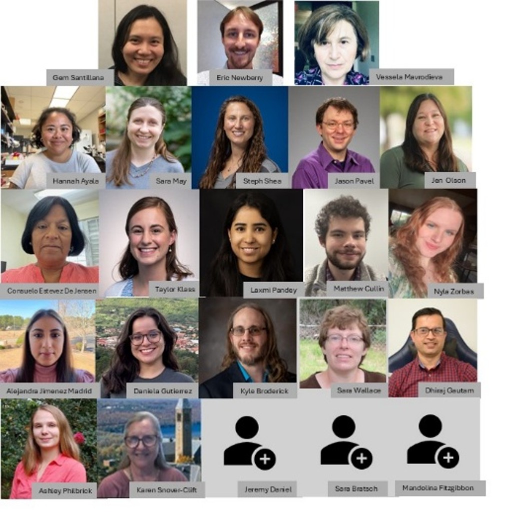 Screenshot of a Zoom group meeting
