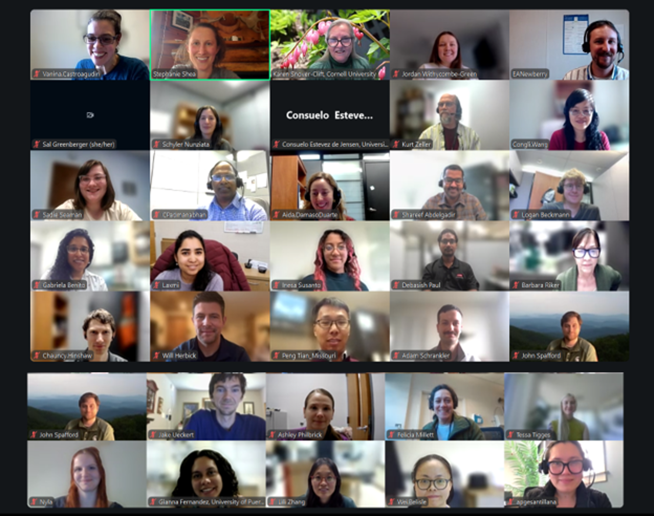 Screenshot of a Zoom group meeting