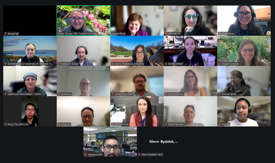 Screenshot of a Zoom group meeting